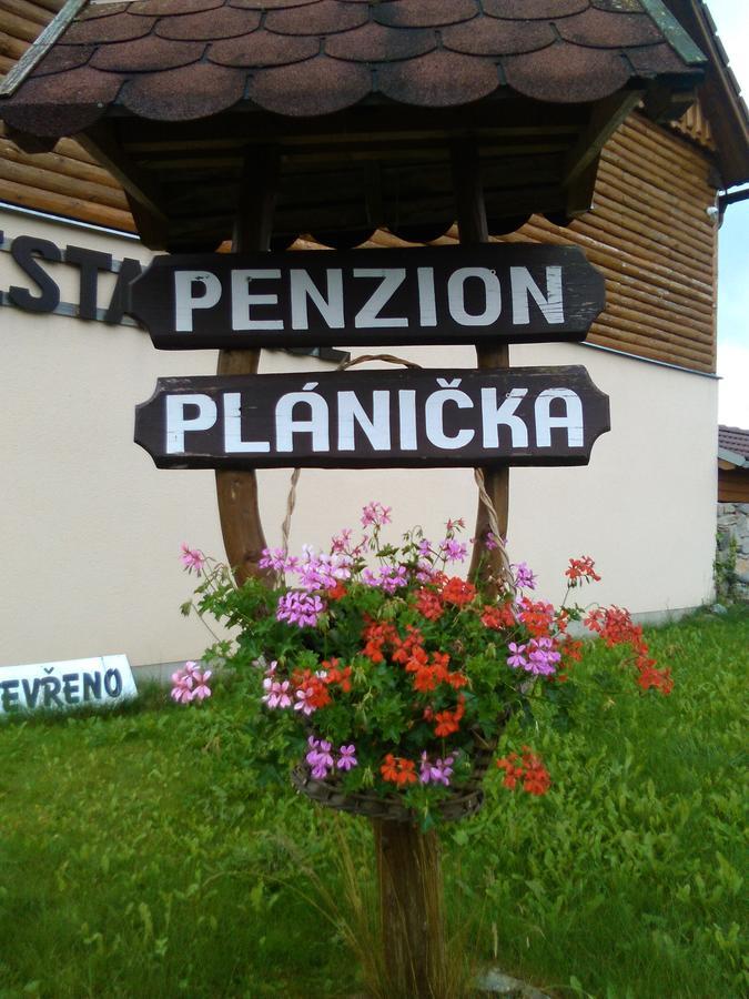 Penzion Planicka Černá v Pošumaví Екстериор снимка